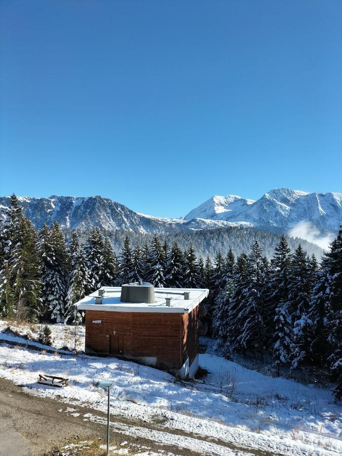 Appartement Le Sorbier à Chamrousse 3 pièces 6 personnes aux pieds des pistes Esterno foto