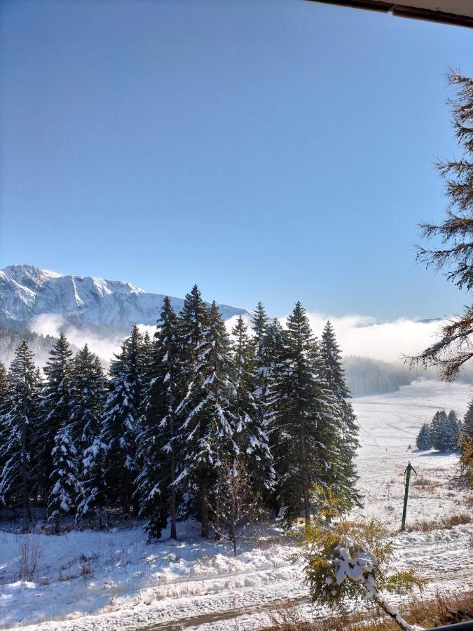 Appartement Le Sorbier à Chamrousse 3 pièces 6 personnes aux pieds des pistes Esterno foto